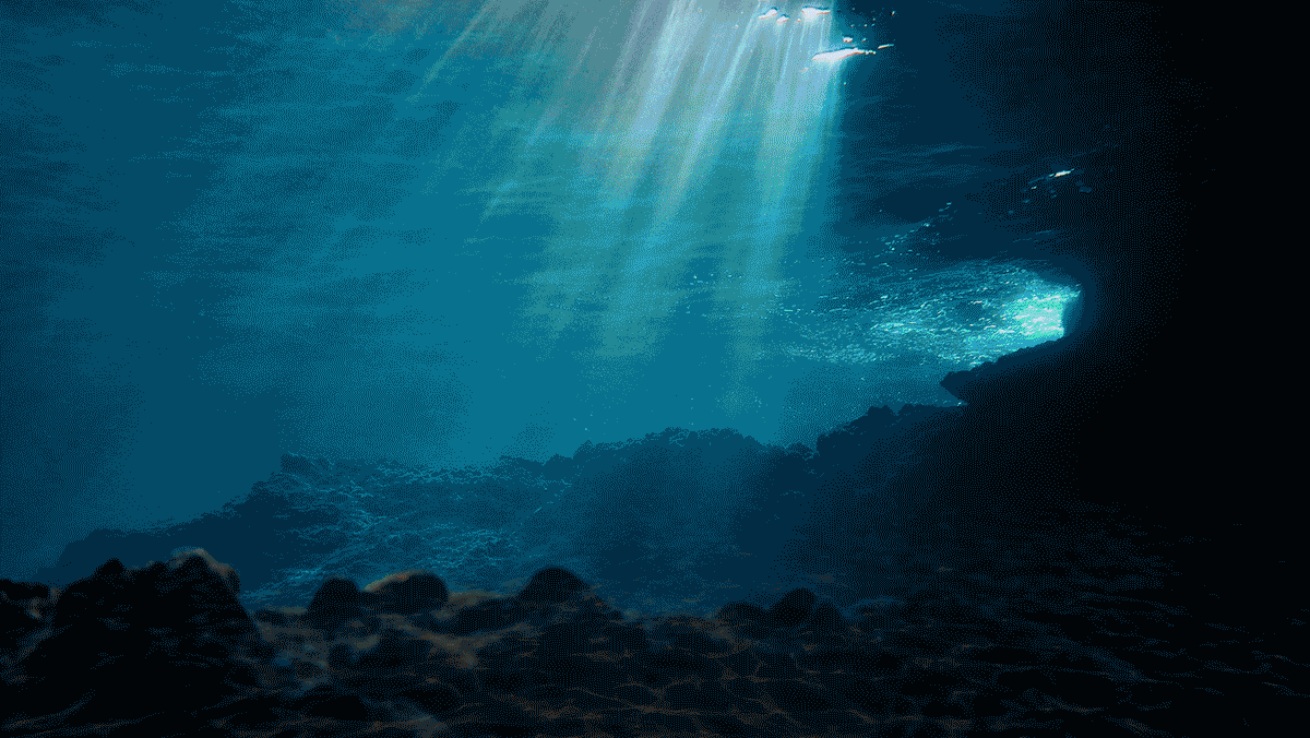 Fishermen insert their catch into a machine from Shinkei Systems, which automatically processes the fish.  