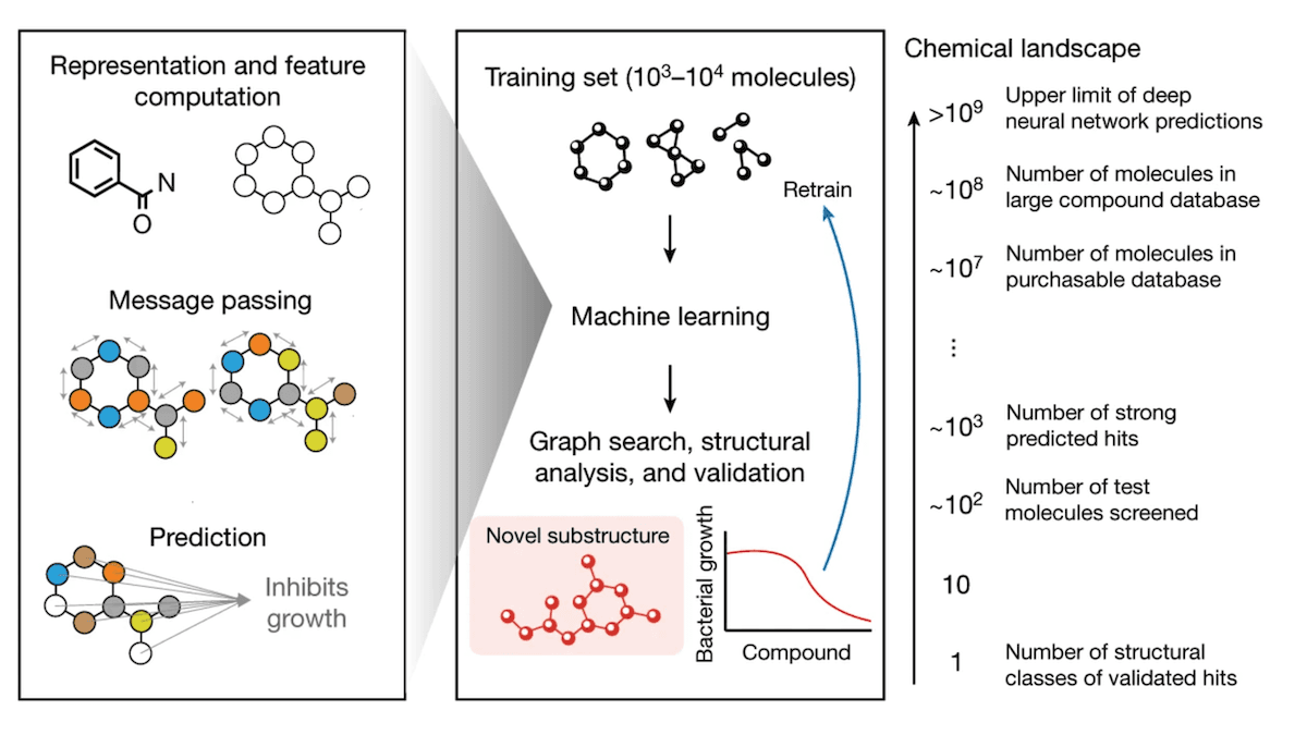 Deep Learning Discovers Antibiotics: Researchers used neural networks to find a new class of antibiotics.
