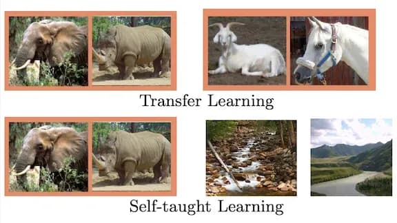 Unsupervised Learning Ascendent