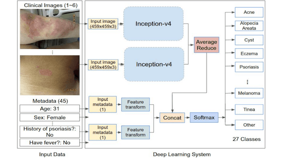Deep Learning Tackles Skin Ailments