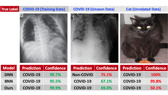 Cats Cured of Covid: Why some deep learning models thought cats had Covid