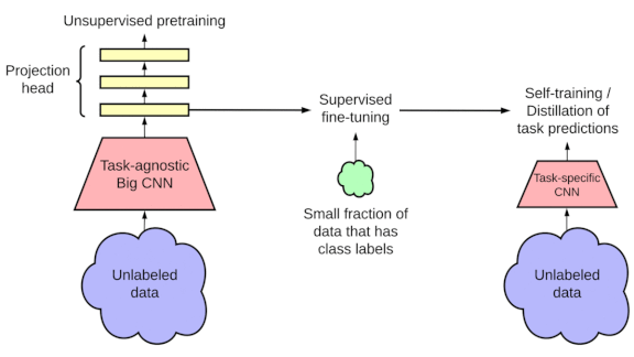 Fewer Labels, More Learning: How SimCLRv2 improves image recognition with fewer labels