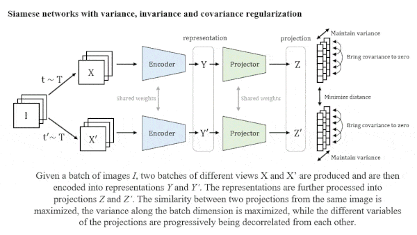 More Reliable Pretraining: Pretraining Method Helps AI Learn Useful Representations