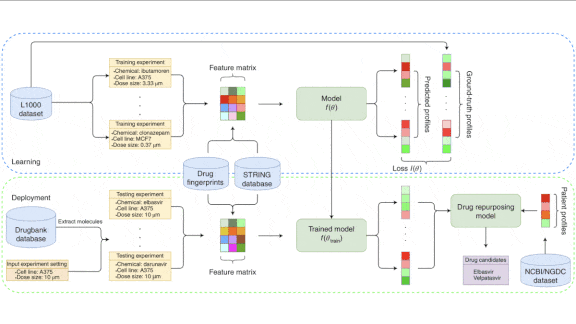 Old Drugs for New Ailments: AI searches for Covid-19 treatments among existing drugs.