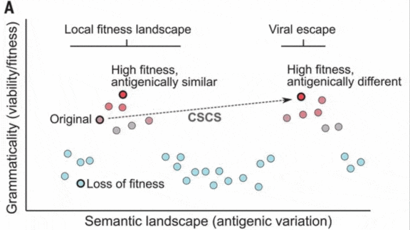 The Language of Viruses: Researchers trained a neural net to predict viruses in DNA.