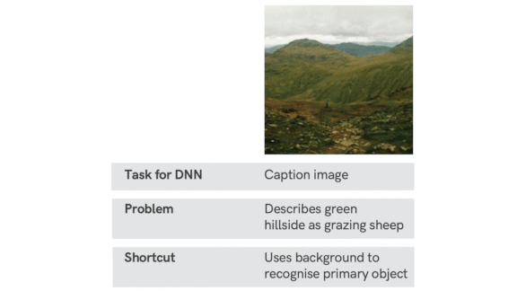When Models Take Shortcuts: The causes of shortcut learning in neural networks