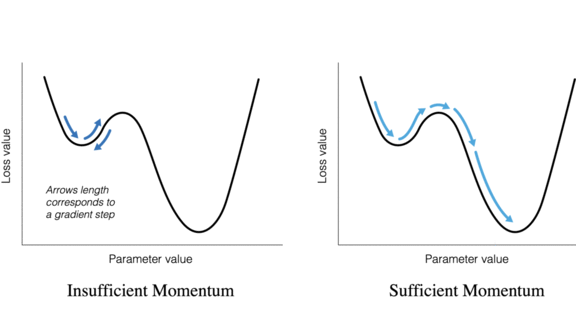 When Optimization is Suboptimal: How gradient descent can sometimes lead to model bias