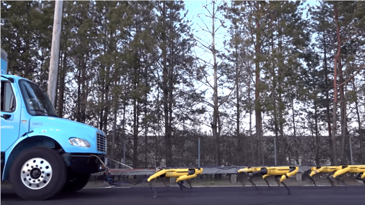 Attack of the Robot Dogs