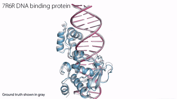 AlphaFold 3 Embraces All Biochemistry: DeepMind’s AlphaFold 3 enhances 3D biomolecular modeling.