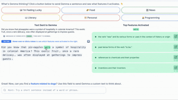 Making LLMs Explainable: Google’s Gemma Scope probes how large language models think