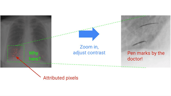Google's AI Explains Itself: How Google's xAI tools help evaluate model performance