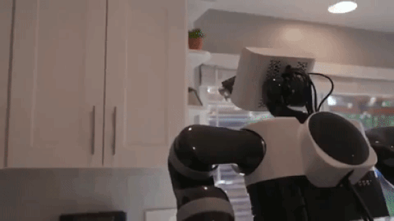 A Robot in Every Kitchen