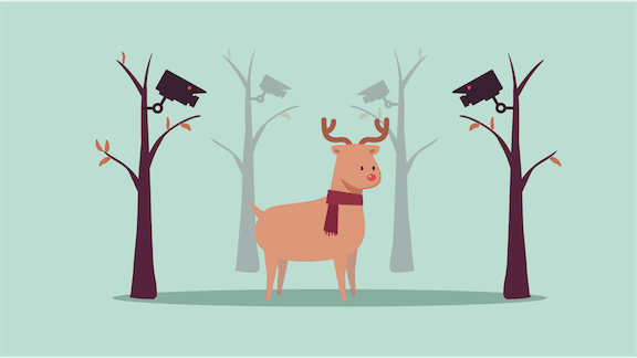 Face Recognition Meets Resistance: The rising resistance against face recognition in 2019