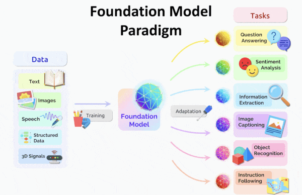 Weak Foundations Make Weak Models: Foundation AI Models Pass Flaws to Fine-Tuned Variants