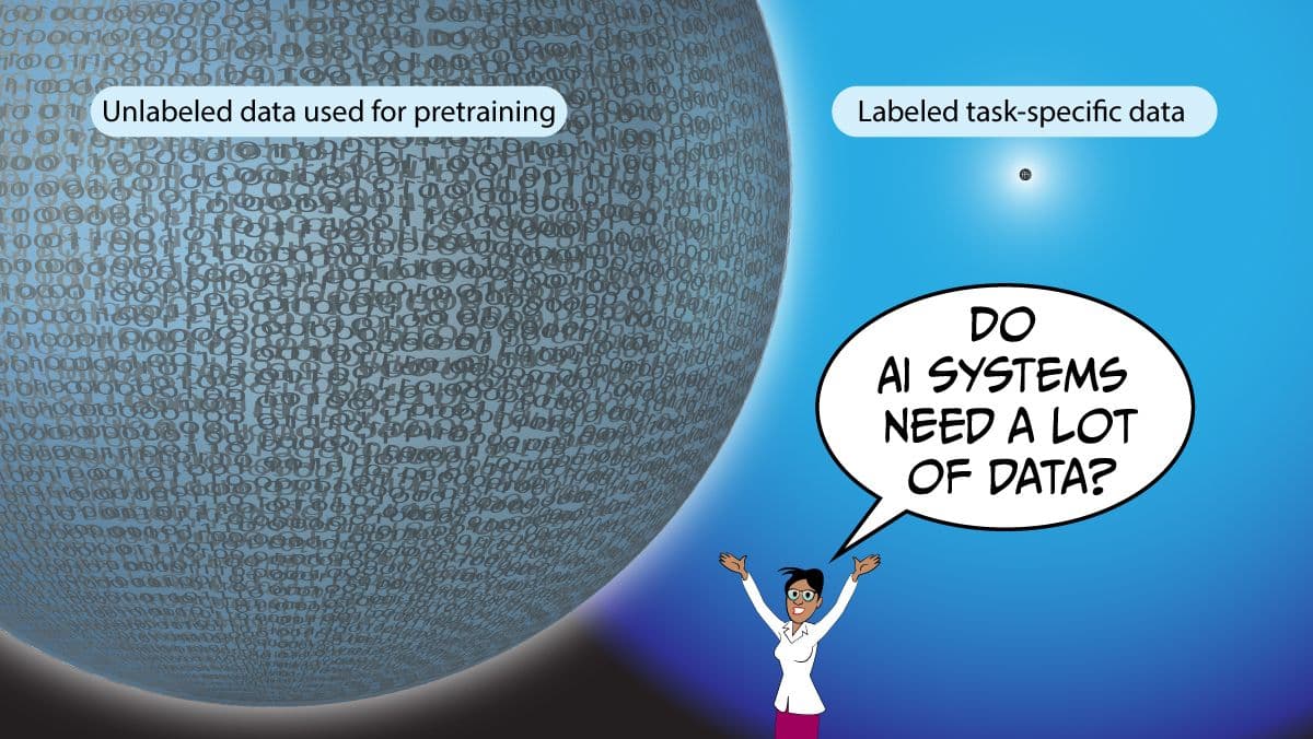 Building AI Systems No Longer Requires Much Data: Pretrained models make it possible to build AI systems using very little additional data.